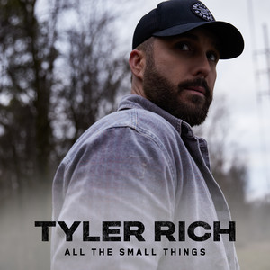 Tyler Rich - All The Small Things Lyrics - Zortam Music