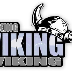 Viking Viking Viking 的头像