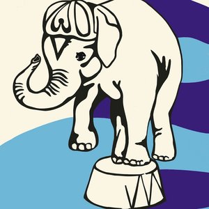 Jeff Mangum Live at Jittery Joe's
