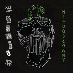 Niedosłowny