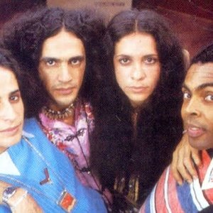 Avatar for Gal Costa, Caetano Veloso, Gilberto Gil, Maria Bethânia