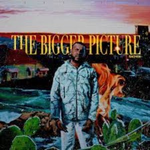 The Bigger Picture