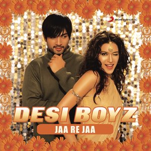 Image for 'Desi Boyz'