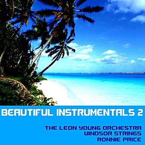 Beautiful Instrumentals, Vol. 2