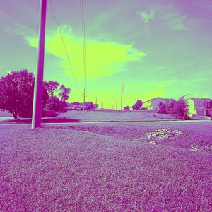 Rarities: 2018-2020