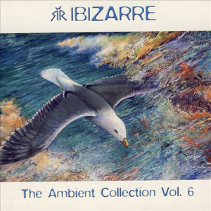 VA - Ambient Collection Vol. 6 - Zortam Music