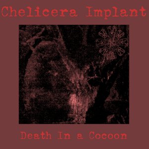 Death In a Cocoon