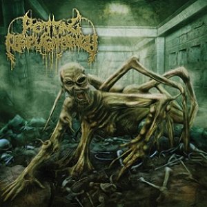 Path Of The Diminished