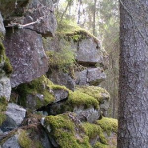 Jälkeinen