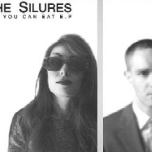 The Silures photo provided by Last.fm