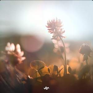Cover The Goodnight Project – Everything the Light Touches - Atmosphaera