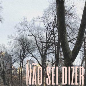 Não Sei Dizer