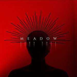 Meadow (single)