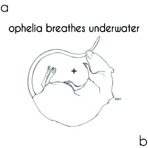 a + b (recorded live on 15th March 2012)