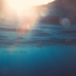 Beautiful Scene - Single