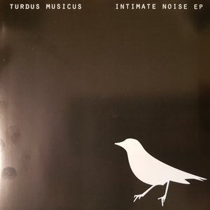 Intimate noise EP