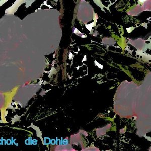 Tschok, die Dohle のアバター