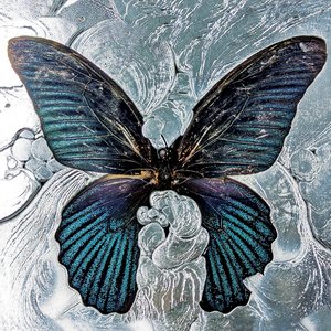 Nymph_o [Explicit]