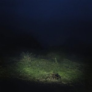 PO2054AZ (Vol. II)
