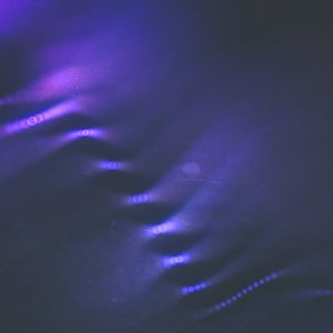 The sense of touch