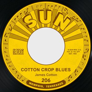Cotton Crop Blues / Hold Me in Your Arms