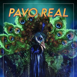 Mask Singer: Pavo Real