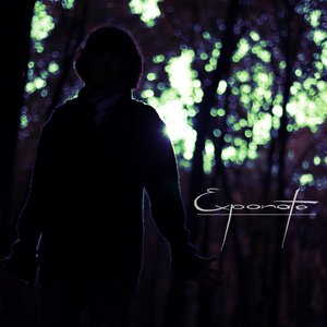 Exponate