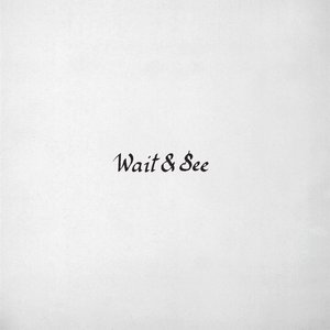Wait & See - EP