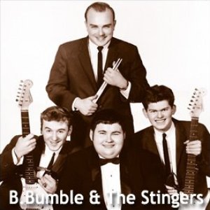 B Bumble & The Stingers 的头像