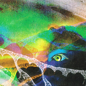 Voyage to See What's on the Bottom cover