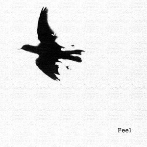 Feel