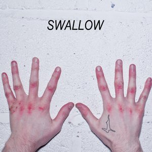 Swallow