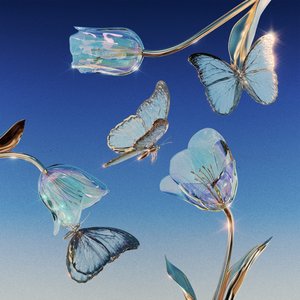 Night Dance - Single