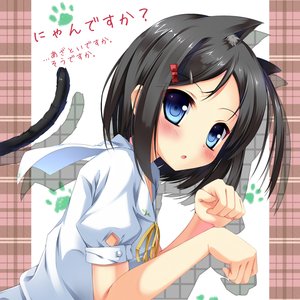 HenNeko 的头像