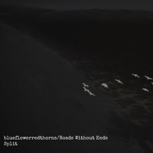 blueflowerredthorns のアバター