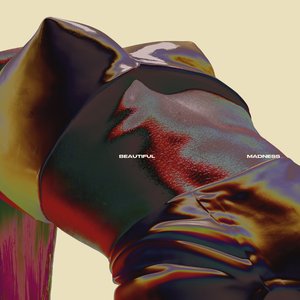 BEAUTIFUL MADNESS [Explicit]