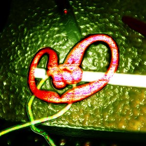 Playlist Me 的头像
