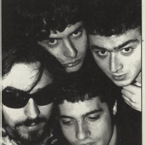 Mockingbyrds 的头像