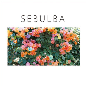 SEBULBA cover