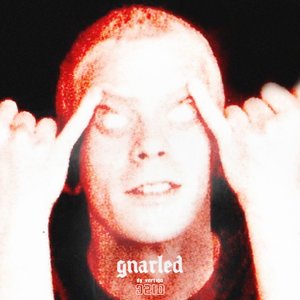 Gnarled (feat. Vieze Asbak) - Single