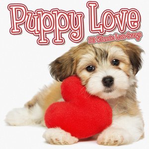 Puppy Love - 101 Classic Love Songs