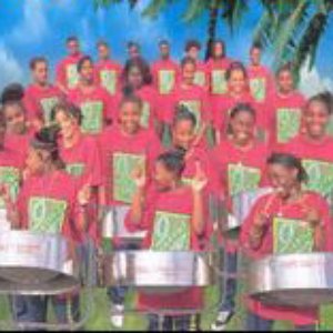 Изображение для 'Lambeth Community Youth Steel Orchestra'