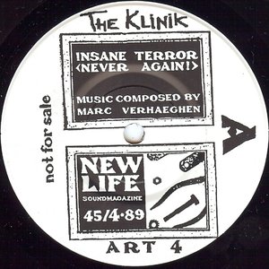 Insane Terror