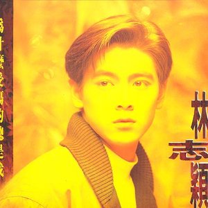 为什么受伤的总是我