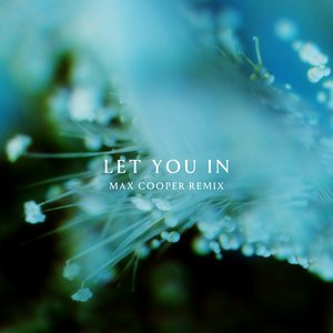 Let You In (Max Cooper Remix) - Single