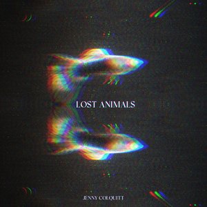 Lost Animals