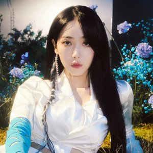 신비 的头像