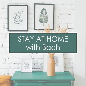 Stay at Home with Bach