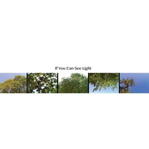 If You Can See Light