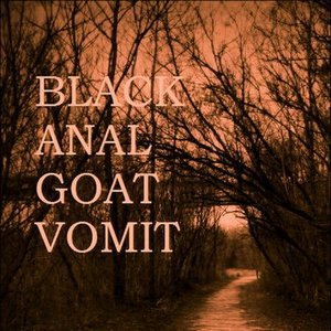 “Black Anal Goat Vomit”的封面